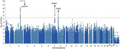 Genome-Wide Meta-Analysis Identifies Two Novel Risk Loci for Epilepsy